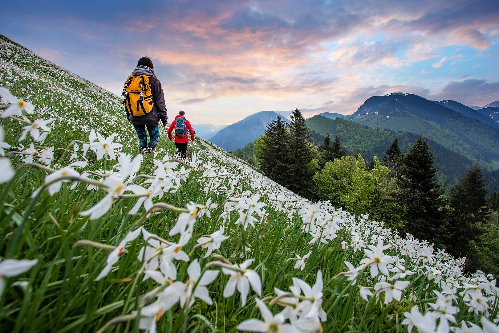 Recommended hikes