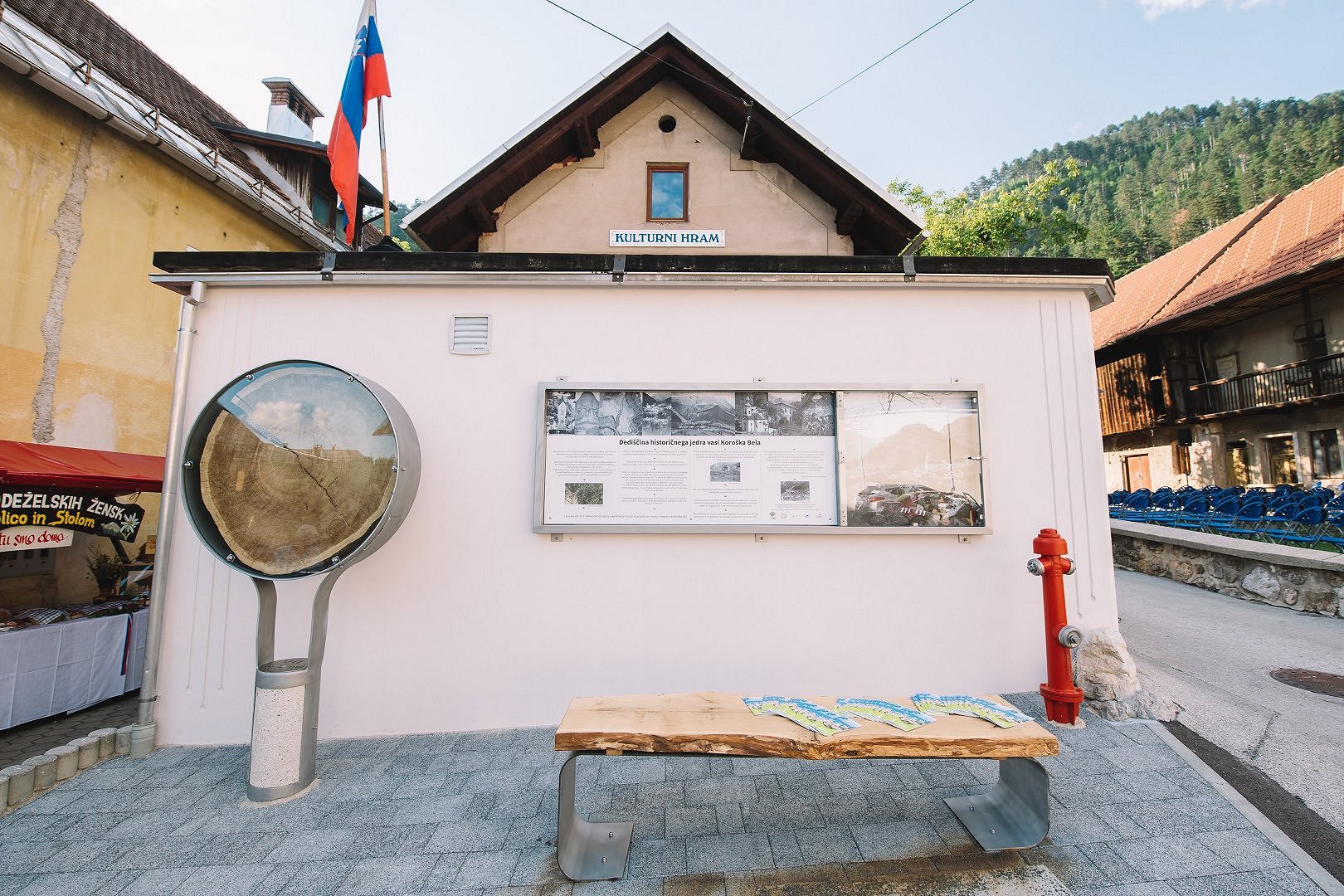 Hrast v forma vivi na Koroški Beli