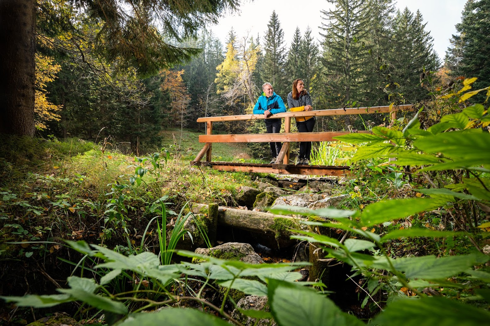 Naravoslovna in rudarska učna pot v Javorniškem Rovtu